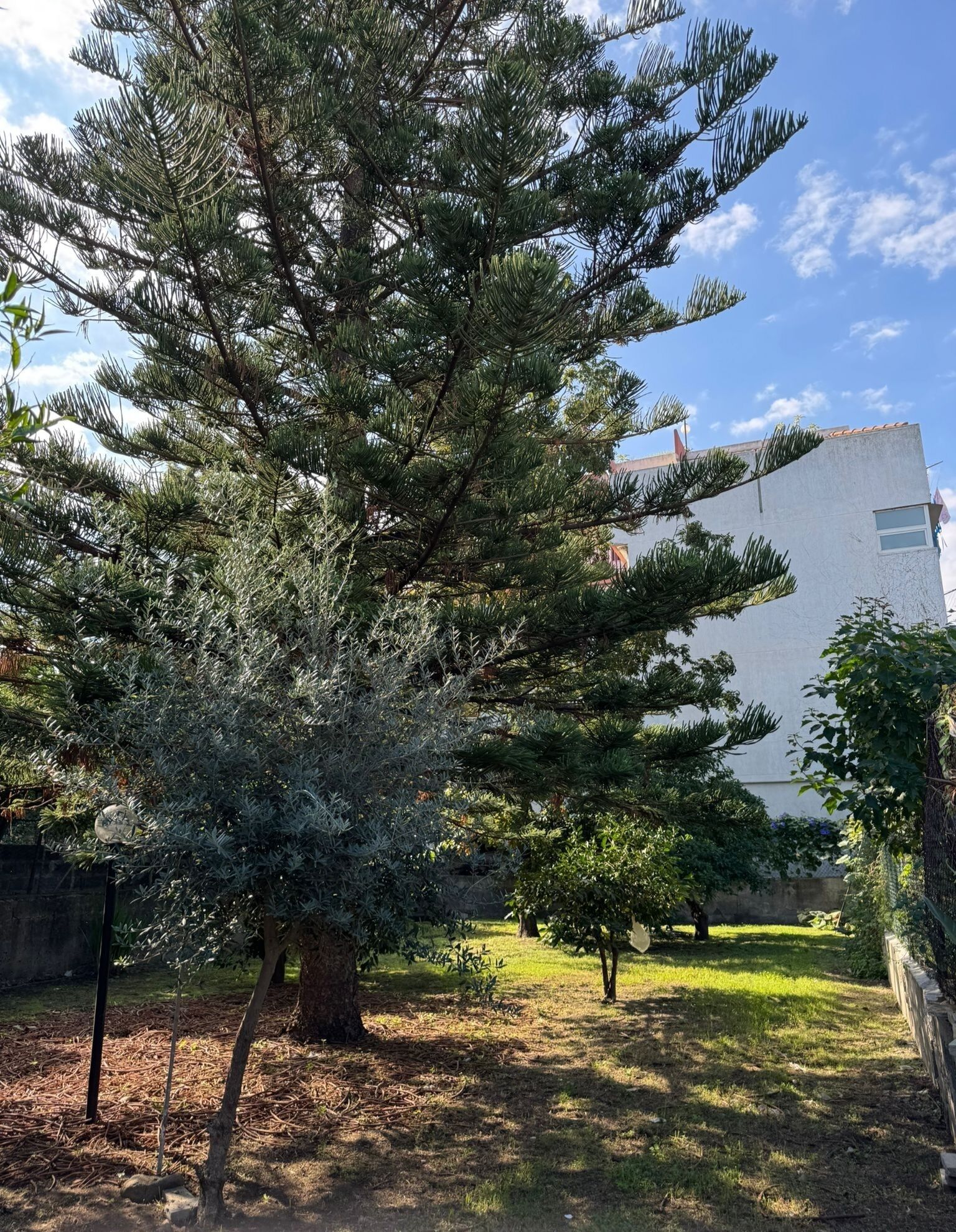 Áreas de la propiedad