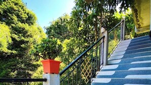 Eine Treppe mit blauen Stufen und einem Metallgeländer, umgeben von Grünpflanzen.