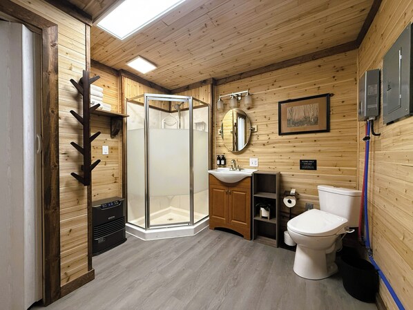 Shower, hair dryer, bidet, towels