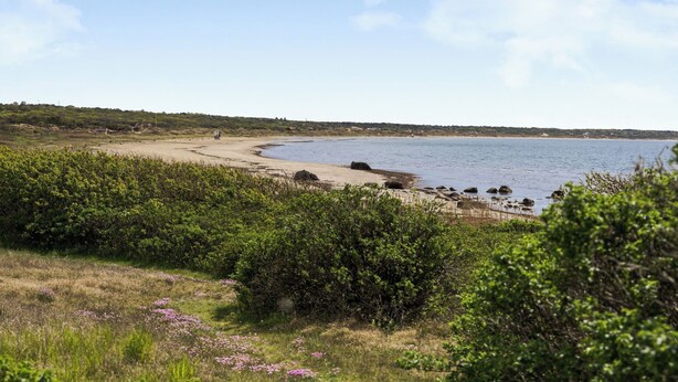Un paisaje costero con una playa arenosa, abundante vegetación y un mar tranquilo bajo un cielo despejado.
