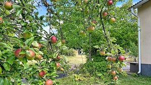 Unclassified image, 3 of 37, button - Skolhuset by Interhome (Gullringen)