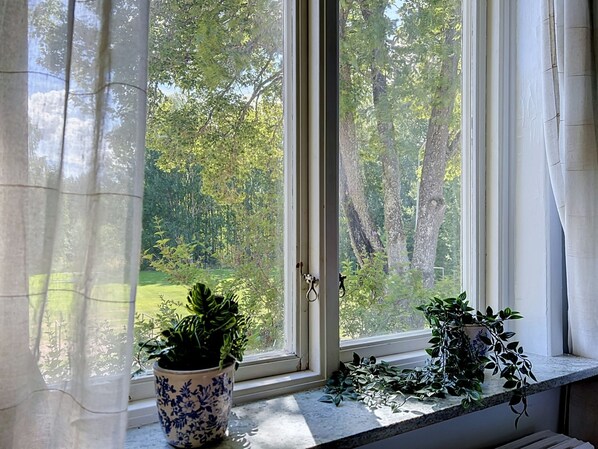 A window with a view of a garden and trees, a potted plant on the windowsill, and a curtain partially drawn.