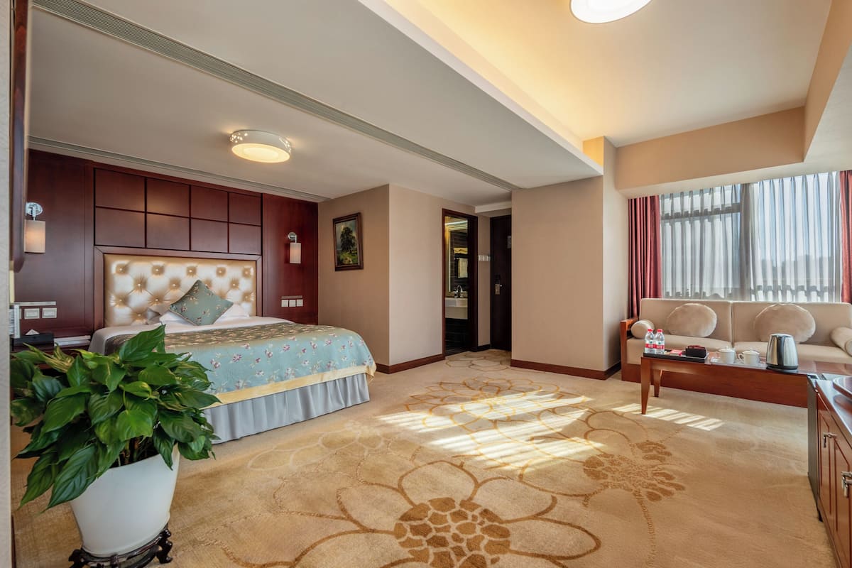 A hotel room with a bed, a sofa, a coffee table, a potted plant, and a view of the city.