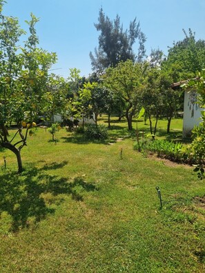 รูปภาพที่ไม่ได้จัดประเภท, 3 จาก 7, ป  ุ่ม