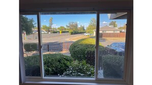Vista a través de una ventana con cielo despejado, una calle y un patio cercado con follaje.