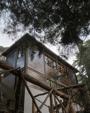 Unclassified image, 5 of 50, button