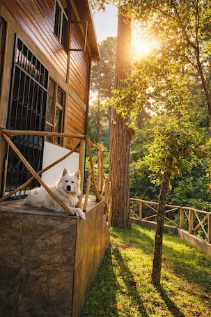 Property grounds. Cozy Forest Cabin w/ Fire Pit • Gated Community - Near Guatemala City