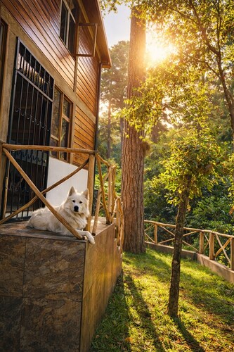 Cozy Forest Cabin w/ Fire Pit • Gated Community - Near Guatemala City