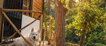 Cozy Forest Cabin w/ Fire Pit • Gated Community - Near Guatemala City