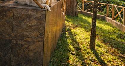 Cozy Forest Cabin w/ Fire Pit • Gated Community - Near Guatemala City