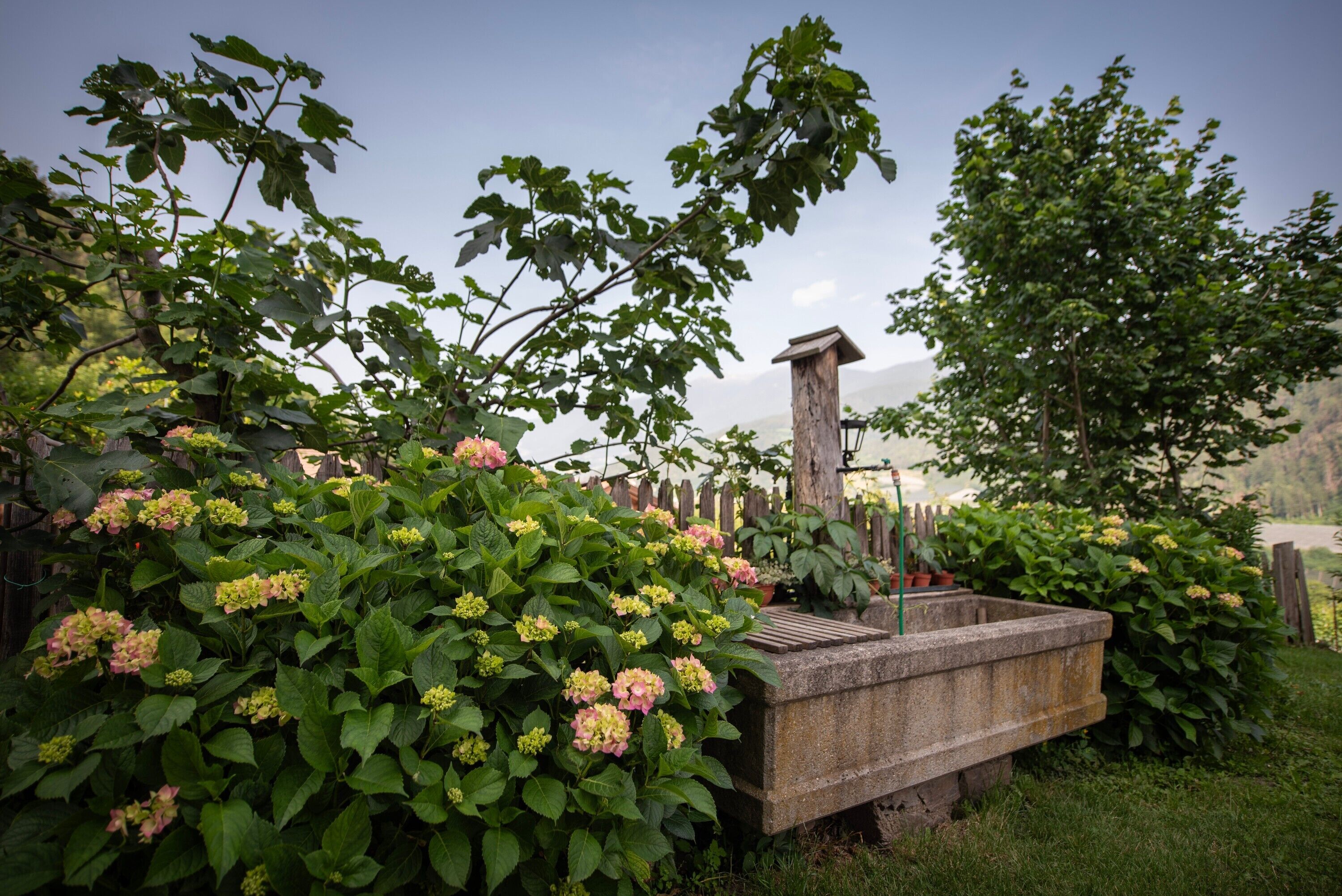 Área da propriedade