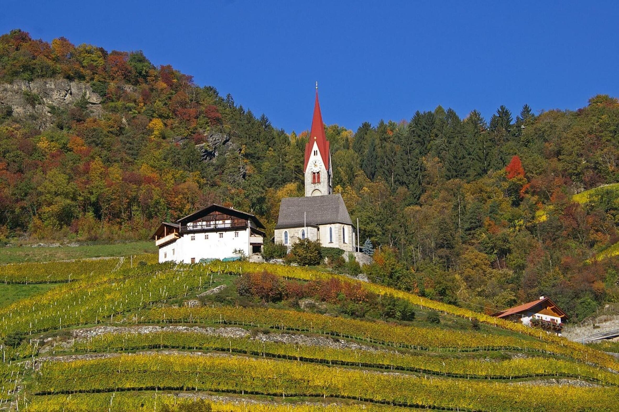 Esterni