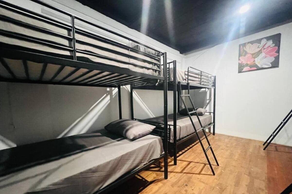 A bunk bed room with a wooden floor, a ladder, and a painting on the wall.