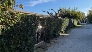 Ein befestigter Feldweg führt zu einem Haus mit Ziegeldach, umgeben von dichtem Grün und einem Holzzaun.