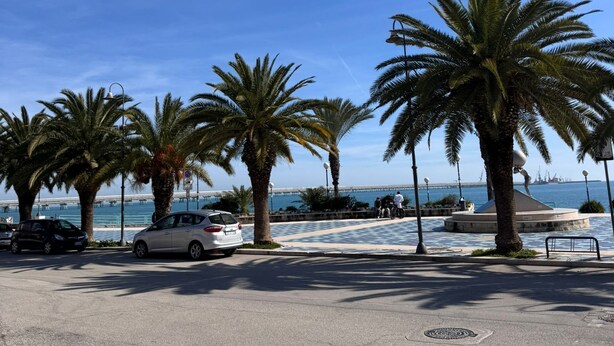 Um calçadão pavimentado com palmeiras, vista para o mar e carros estacionados.