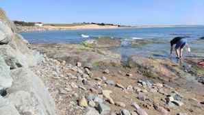 Een rotsachtige kustlijn met een persoon die schelpen verzamelt, een zandstrand in de verte en een helderblauwe lucht.