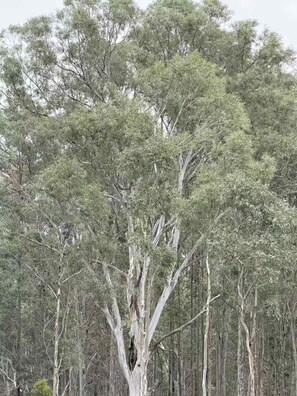 Botón de imagen sin clasificar, 3 de 48