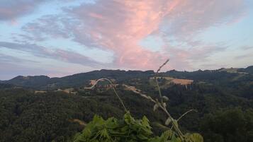 Un paisaje con vistas a colinas onduladas y un cielo nublado.
