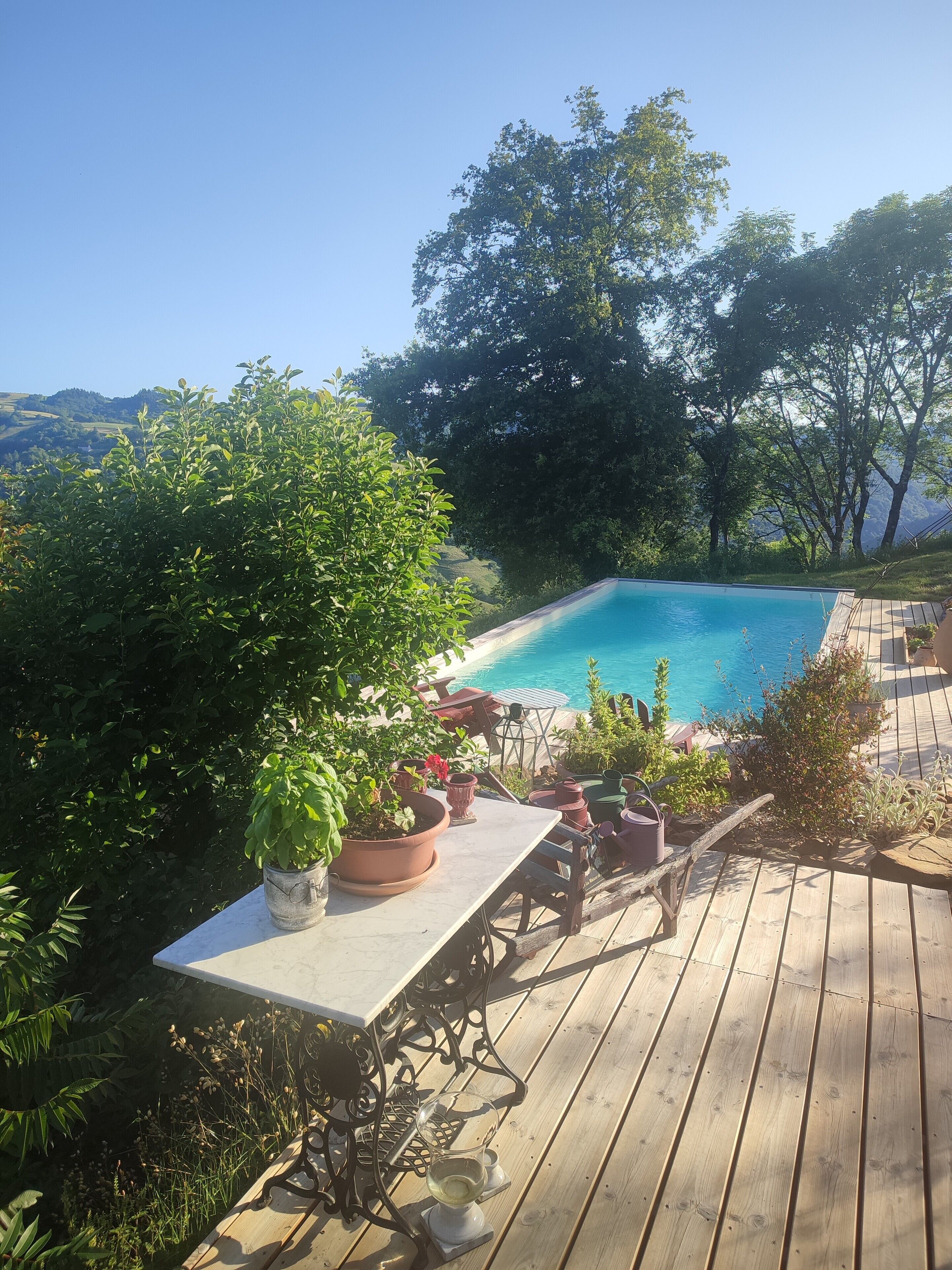 Eine Holzterrasse mit einem Pool, umgeben von Grünpflanzen und Bäumen.