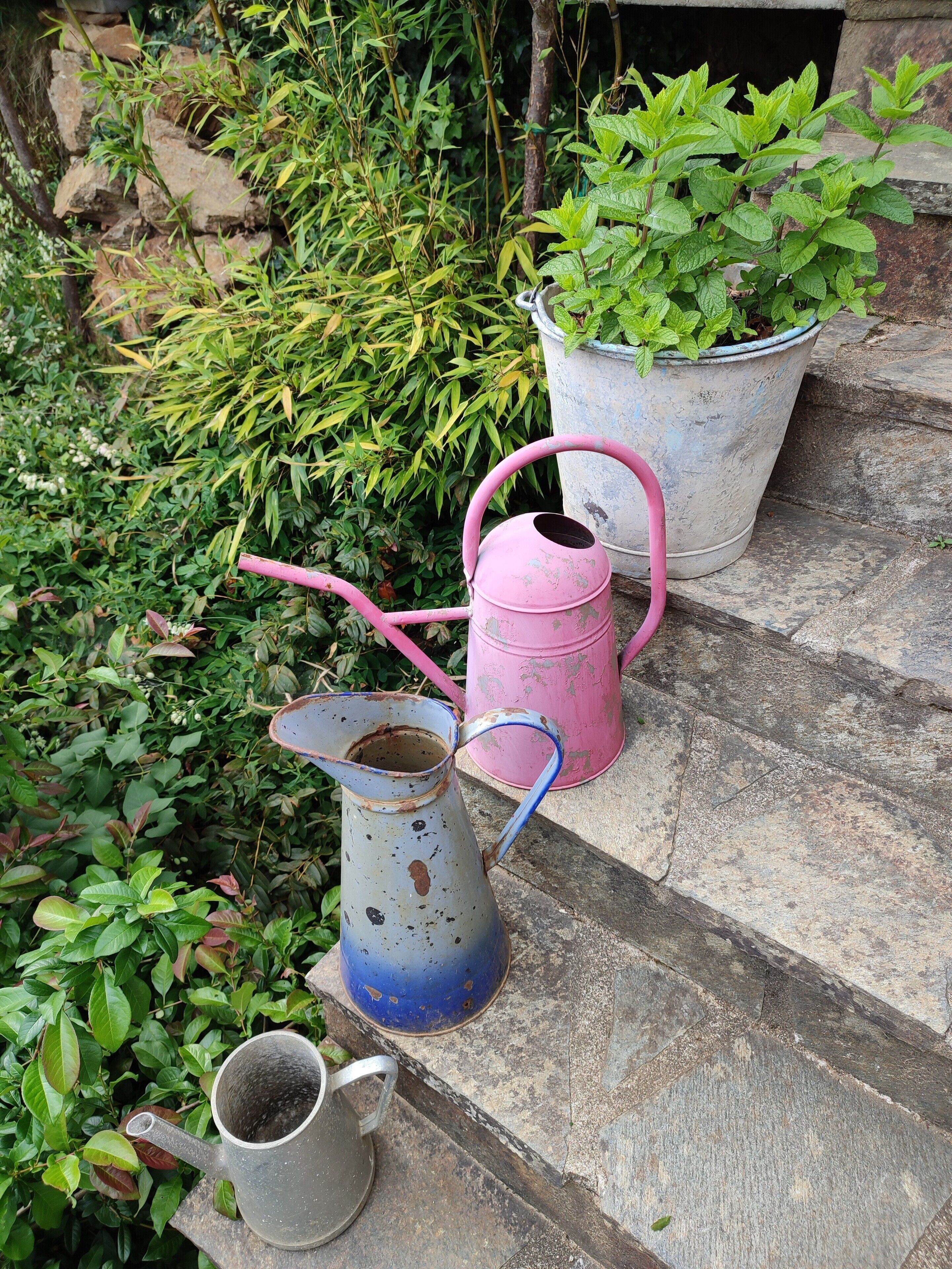 Un ensemble de marches, avec deux arrosoirs en métal et une plante en pot.