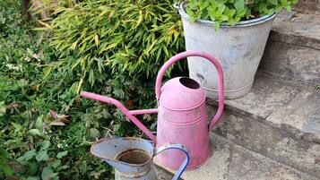 Un ensemble de marches, avec deux arrosoirs en métal et une plante en pot.