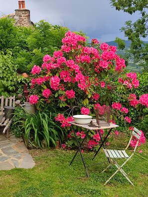 A garden with blooming pink flowers, a rustic table, and a metal birdcage.
