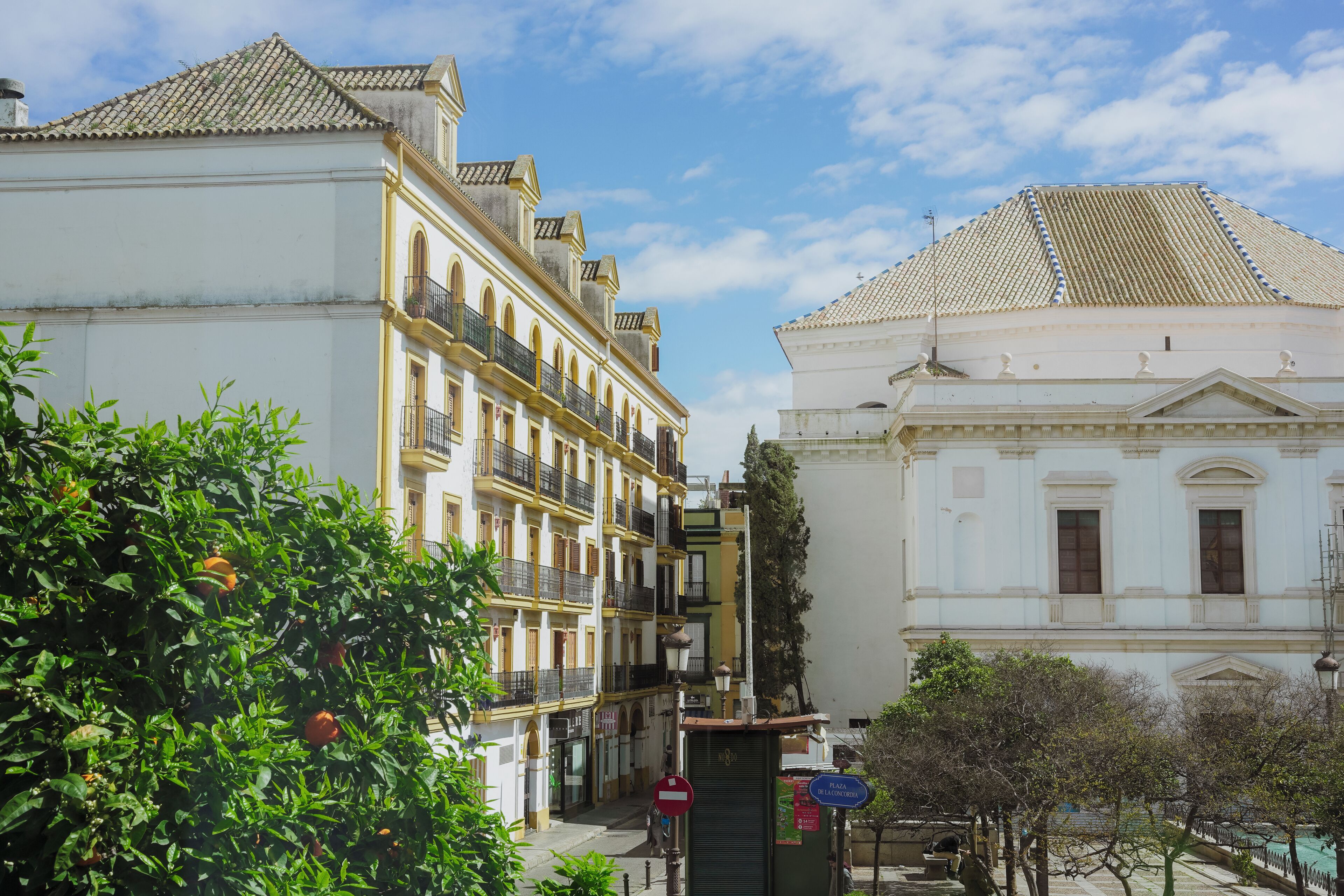 A street with buildings, a no entry sign, and a tree with fruit.