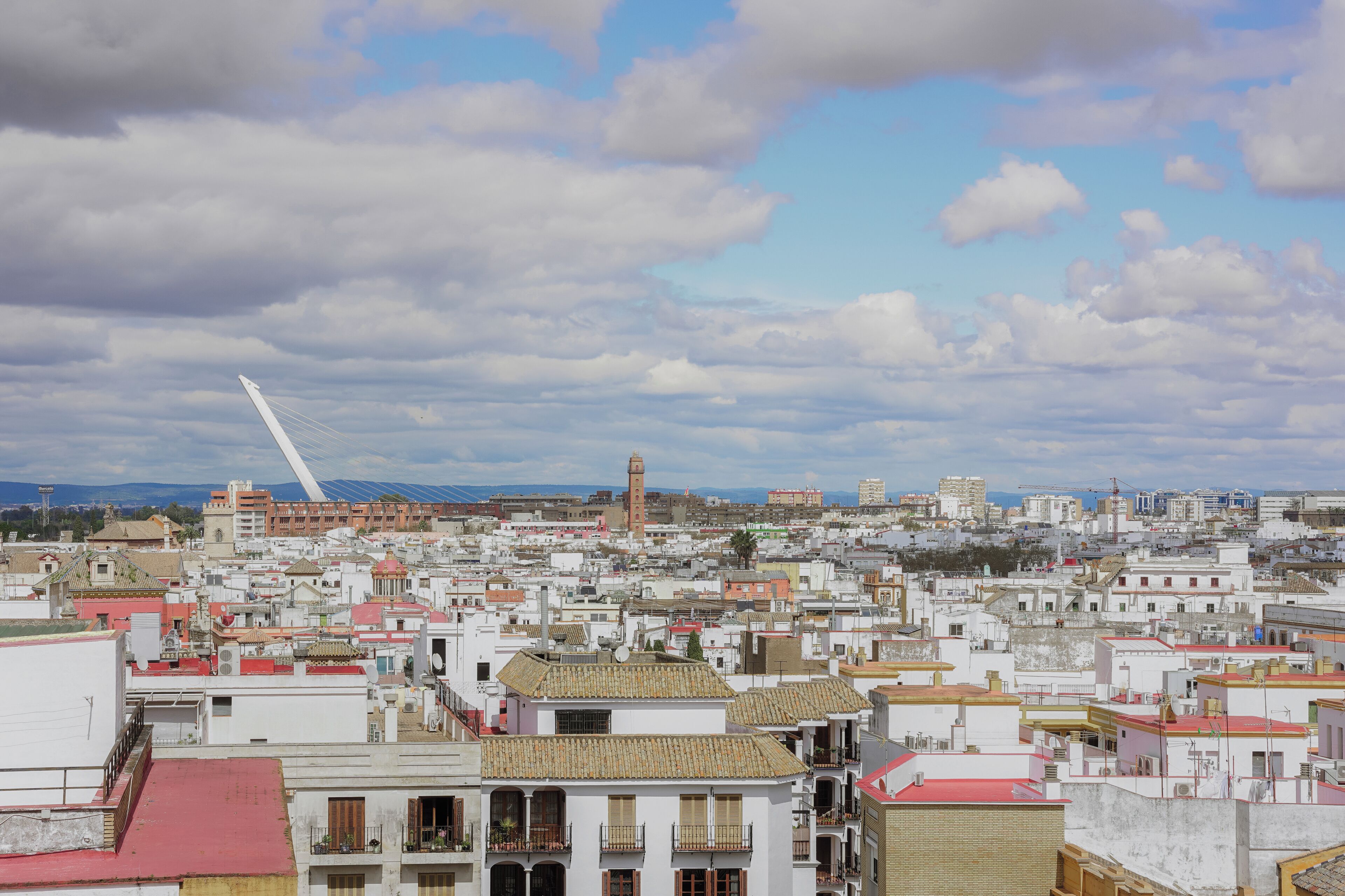 A cityscape with a prominent white bridge, a tower, and densely packed buildings.