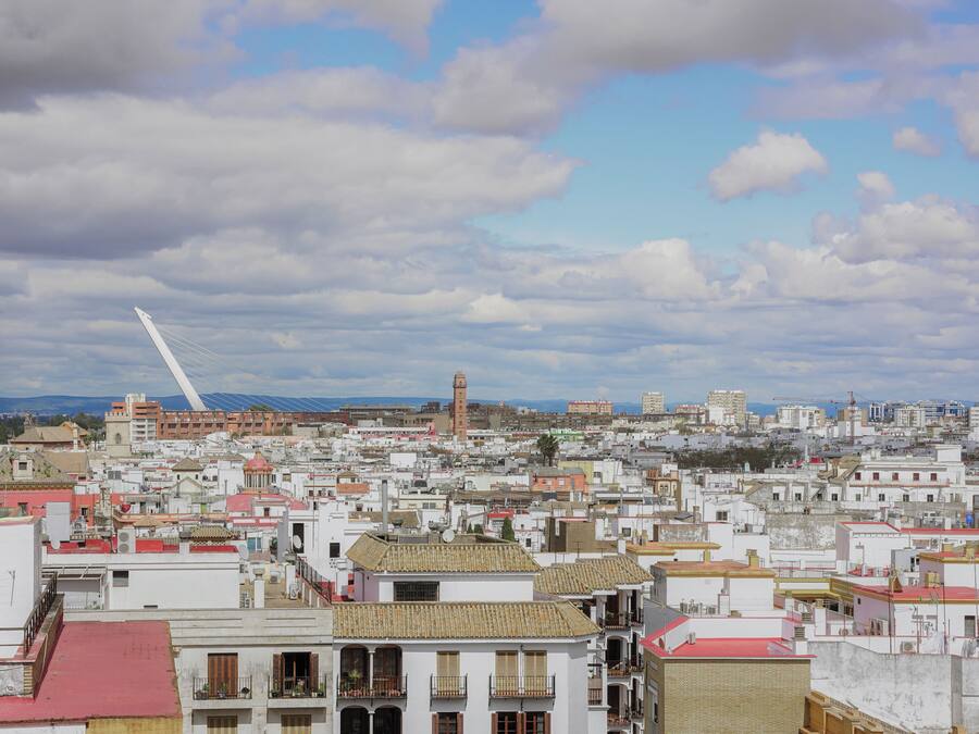 A cityscape with a prominent white bridge, a tower, and densely packed buildings.