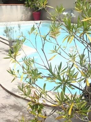 Pool - Cécile’s Room with Shared Pool, Wi-Fi, and Air Conditioning (Albi)