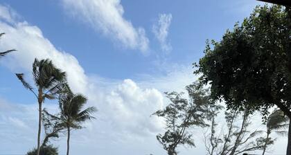 Oceanfront condo in Kapa’a, newly remodeled and ready for you to enjoy Kauai