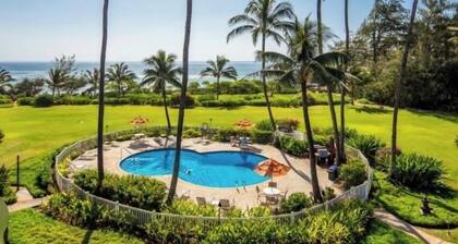 Oceanfront condo in Kapa’a, newly remodeled and ready for you to enjoy Kauai
