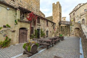 Outdoor dining - Apartment in Bolsena (Bolsena (VT))