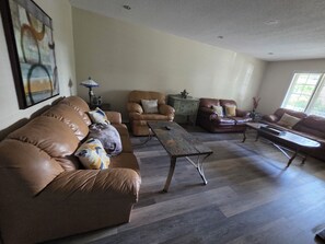 Smart TV, fireplace, DVD player, video library - Bright &Specious Family Home Close To Ski Hill (Collingwood)