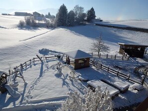 Nicht klassifiziertes Bild, 2 von 63, Schaltfläche