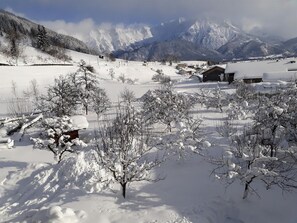 Nicht klassifiziertes Bild, 3 von 19, Schaltfläche