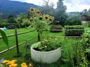 Nicht klassifiziertes Bild, 2 von 34, Schaltfläche