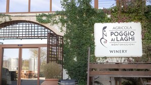 L’entrée d’un domaine viticole, avec un panneau indicateur, un tonneau en bois et un portail.