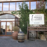 Bodega de vino