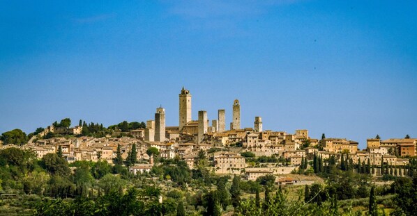 Unclassified image, 1 of 10, button - Il Podere Orto (San Gimignano)