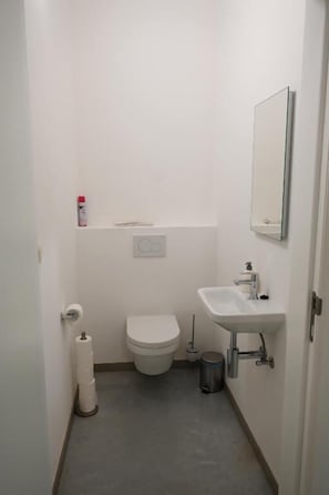 A small, clean bathroom with a toilet, sink, and mirror. - Landlord  (Holsbeek)