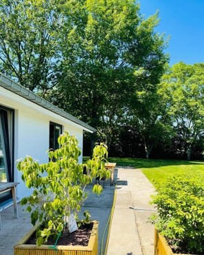 Botó d’imatge sense classificar, 5 de 19