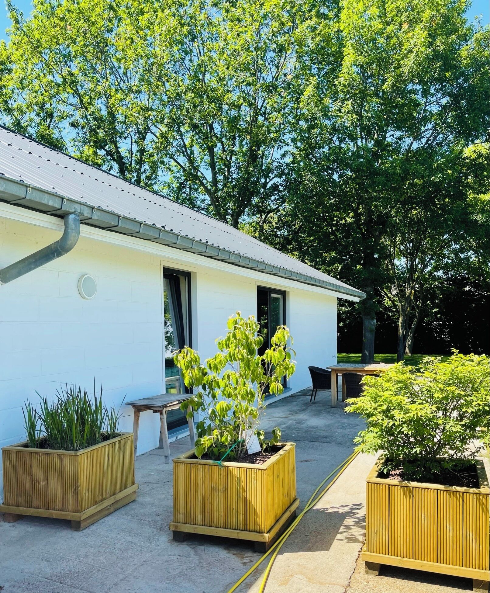 Soundproofing, iron/ironing board, free WiFi