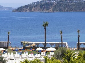 Niet-geclassificeerde afbeelding, 3 van 50, knop