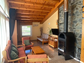 Un salon chaleureux avec une cheminée en pierre, des meubles en bois et un téléviseur.