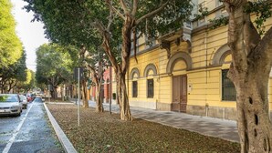 A street lined with trees and parked cars, a yellow building with arched windows, and a sidewalk. - Trieste Avenue Apartment (Cagliari)
