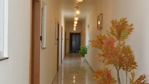 Un couloir doté d’un sol en marbre, d’une plante en pot et d’une rangée de luminaires suspendus.