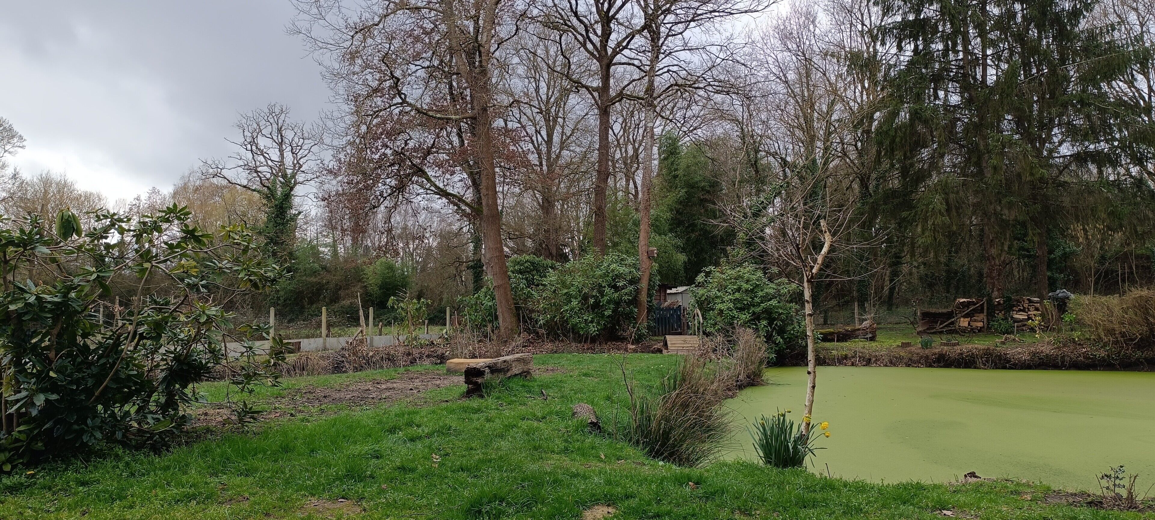 A natural landscape with a pond, trees, and a wooden structure.