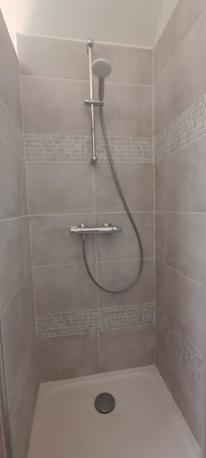 Shower, hair dryer - Guest Room 'Chambre Verte' with Wi-Fi (Cérans-Foulletourte)