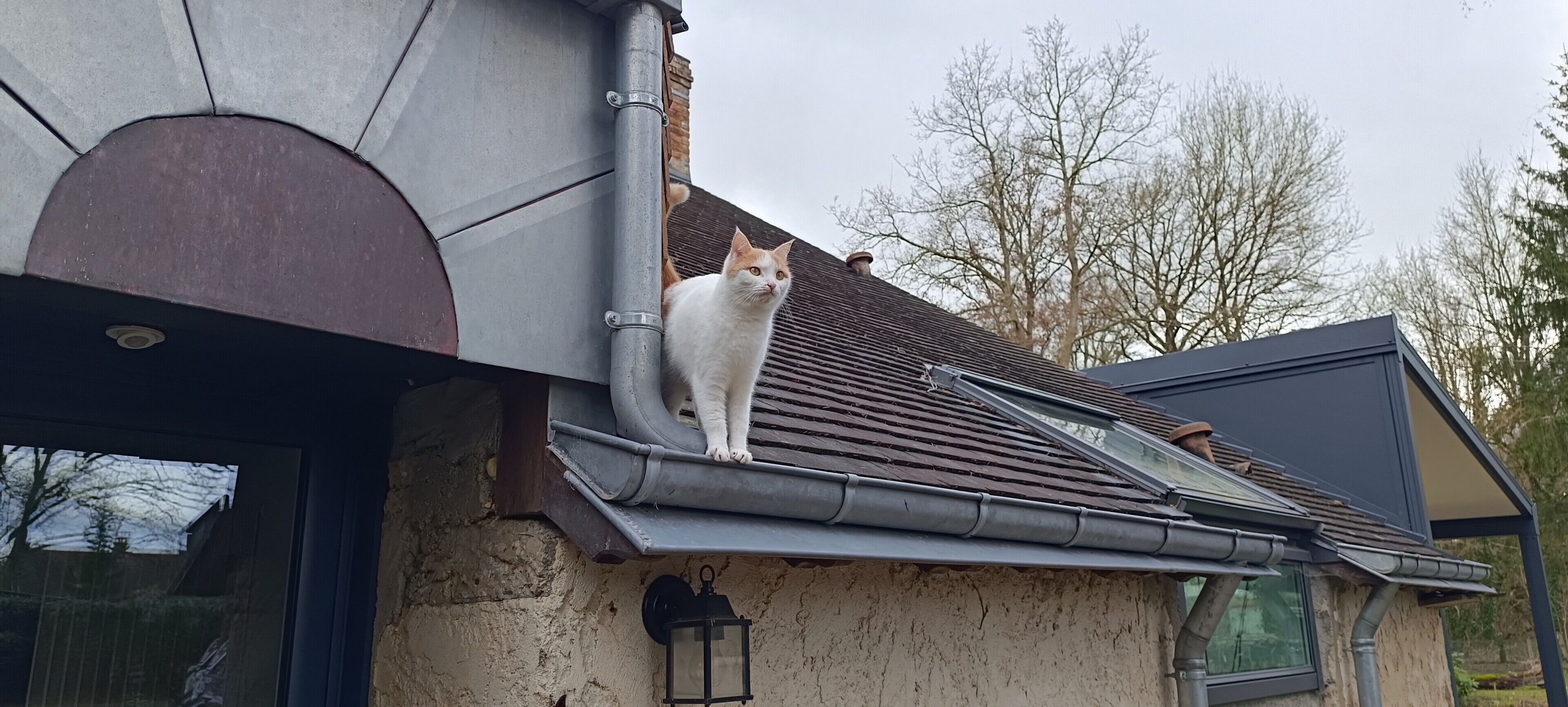 Un gato en un tejado con una casa, una ventana y una farola.